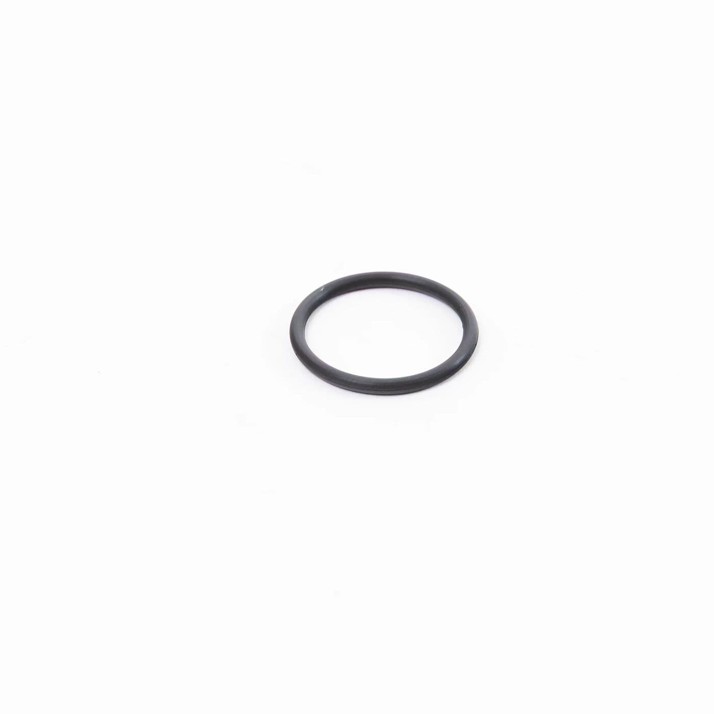 Spray Tank Filter Rubber Ring (T100/T70P/T50/T25P) YC.SJ.J01186 view 1