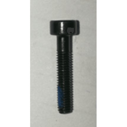 Screw M30-HC01600120-057030-0323-Y (T50) YC.WJ.LL000340