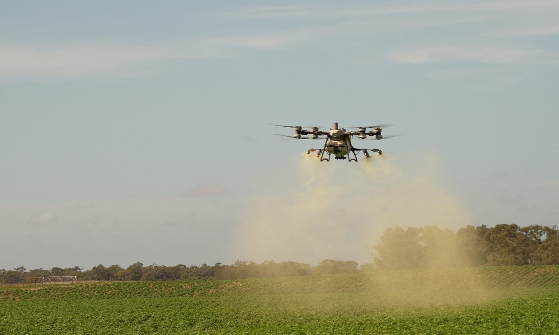 An AGX spray drone laying a wide pass over a green crop, with gum trees along the far fence line