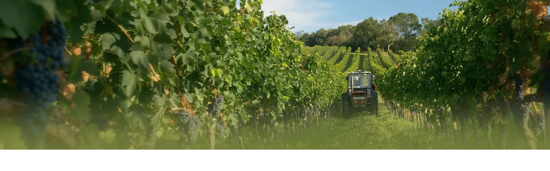 FJD ATX Auto Steer System in the field