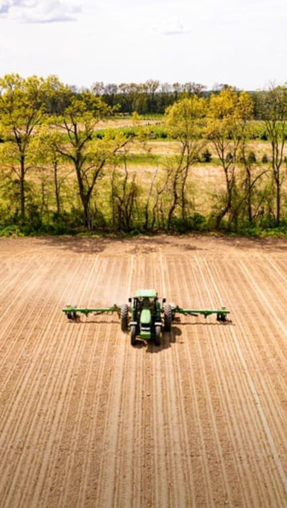 Planting